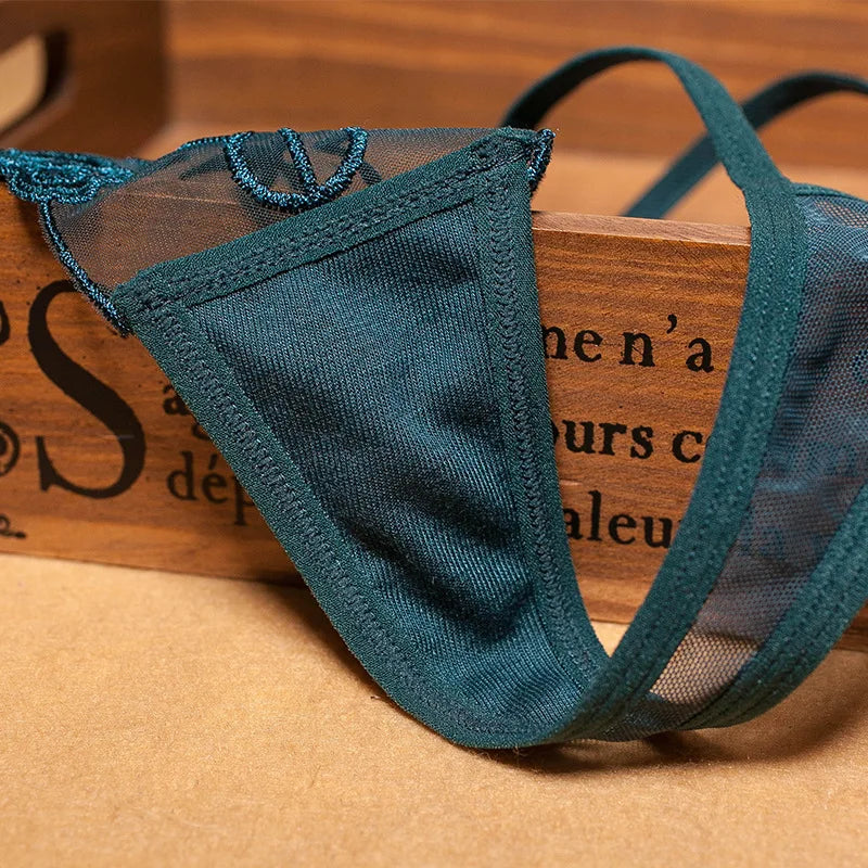 Women Panties Sexy Embroidery  Panty Transparent Underwear