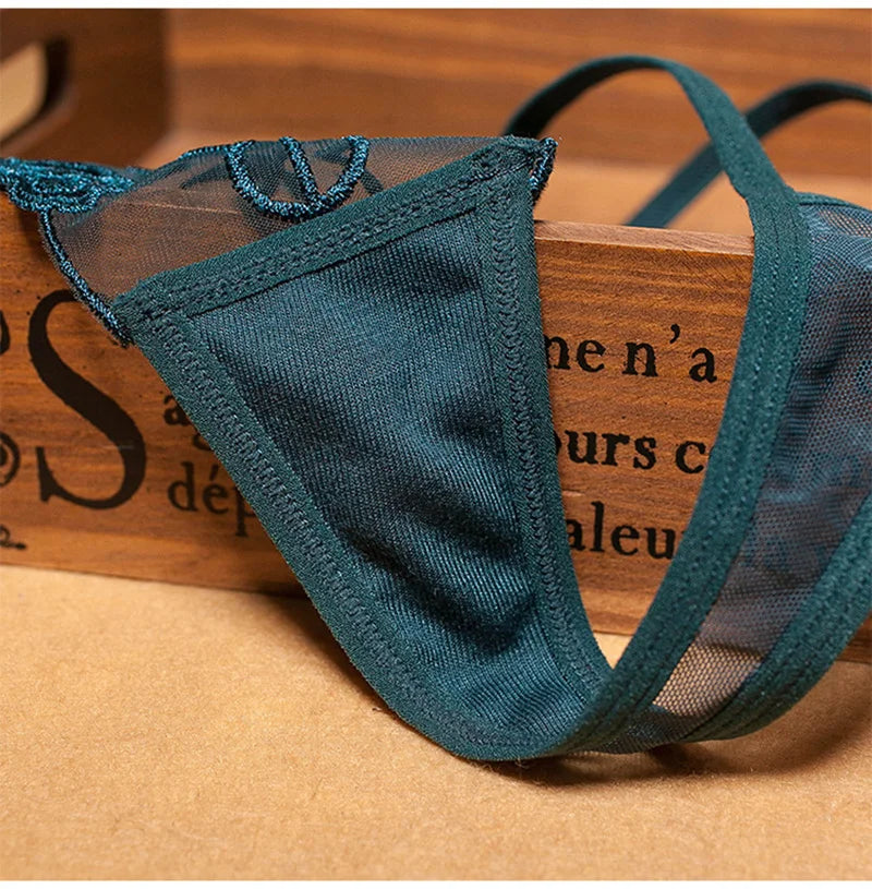 Women Panties Sexy Embroidery  Panty Transparent Underwear