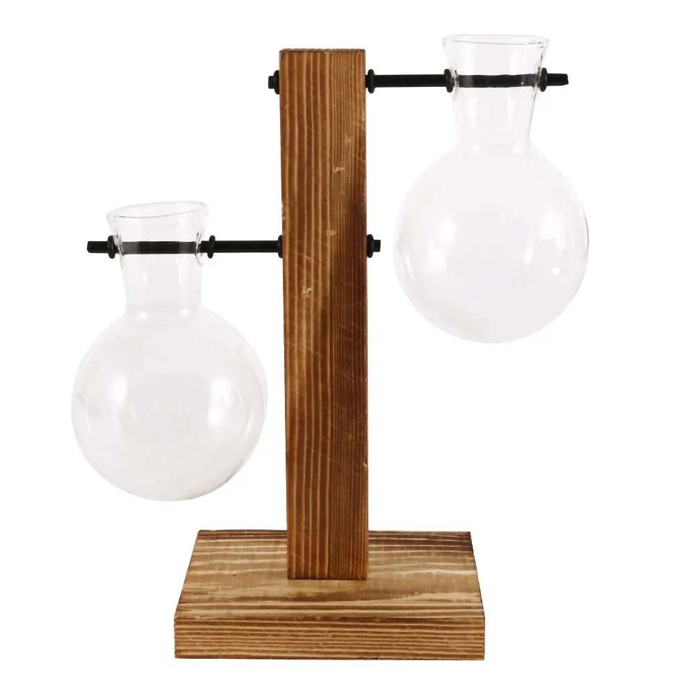 Glass Bulb Vase with Wooden Stand | Vintage Terrarium Planter