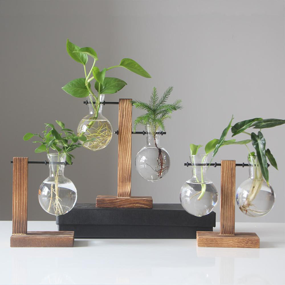 Glass Bulb Vase with Wooden Stand | Vintage Terrarium Planter
