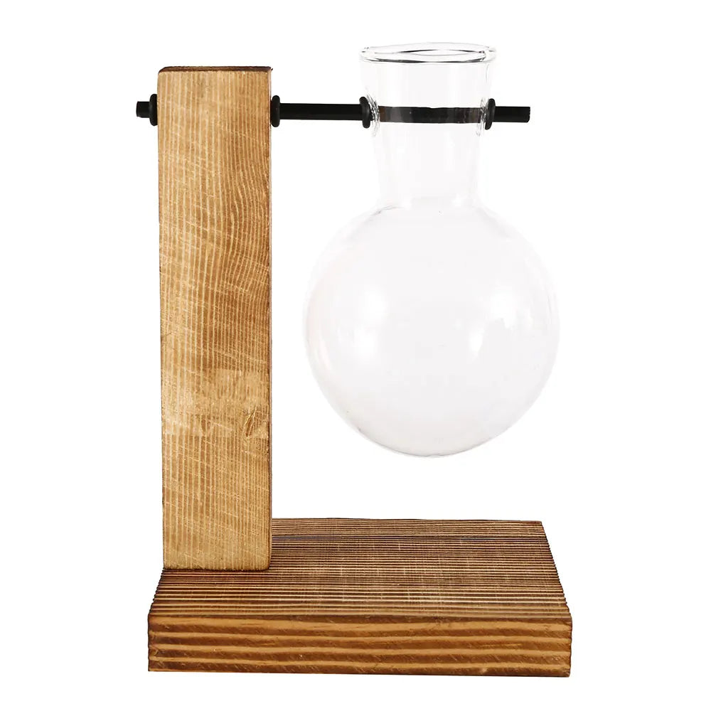 Glass Bulb Vase with Wooden Stand | Vintage Terrarium Planter