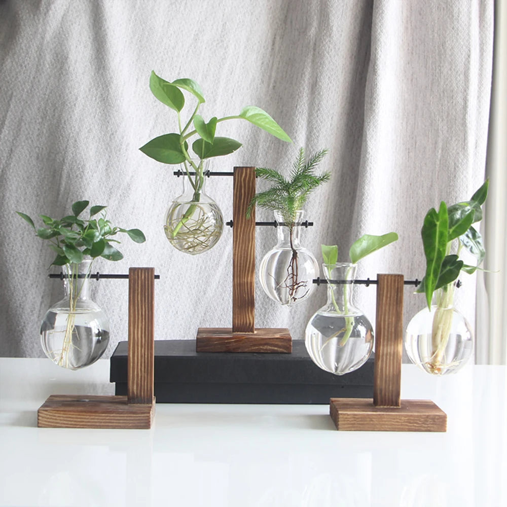 Glass Bulb Vase with Wooden Stand | Vintage Terrarium Planter