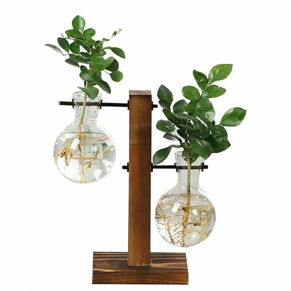 Glass Bulb Vase with Wooden Stand | Vintage Terrarium Planter