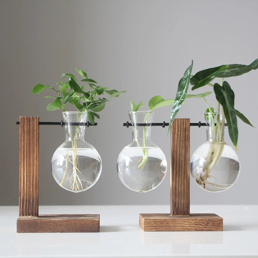 Glass Bulb Vase with Wooden Stand | Vintage Terrarium Planter
