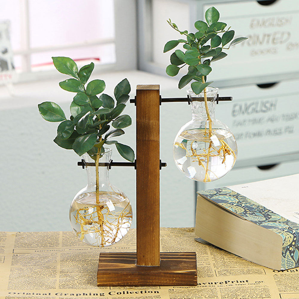 Glass Bulb Vase with Wooden Stand | Vintage Terrarium Planter