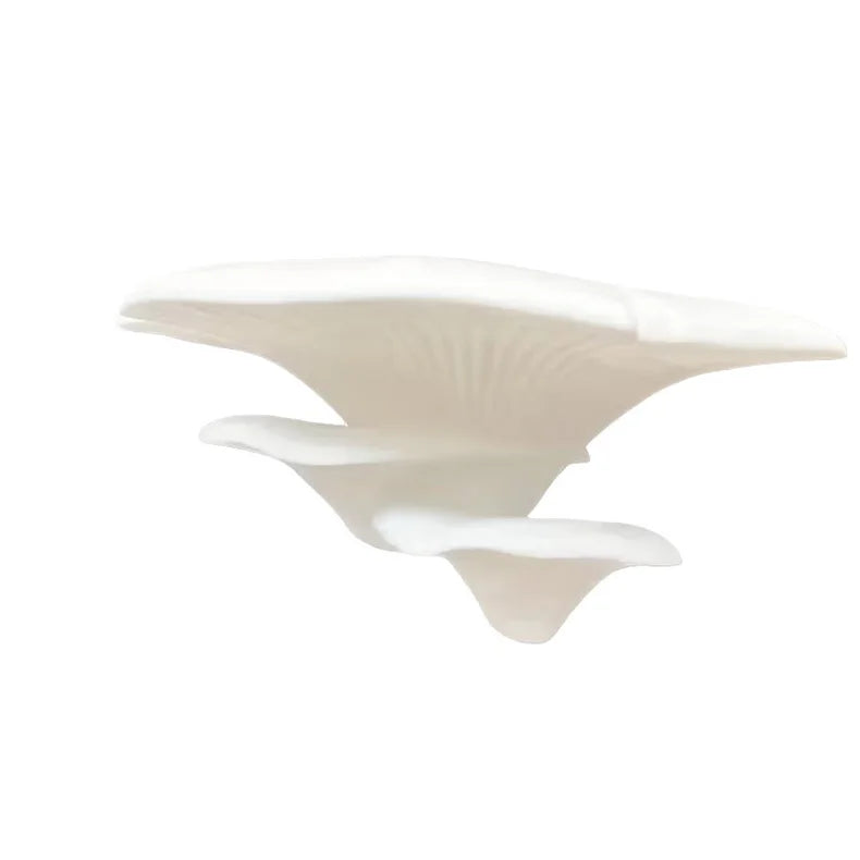 Mushroom Shaped Wall Shelf