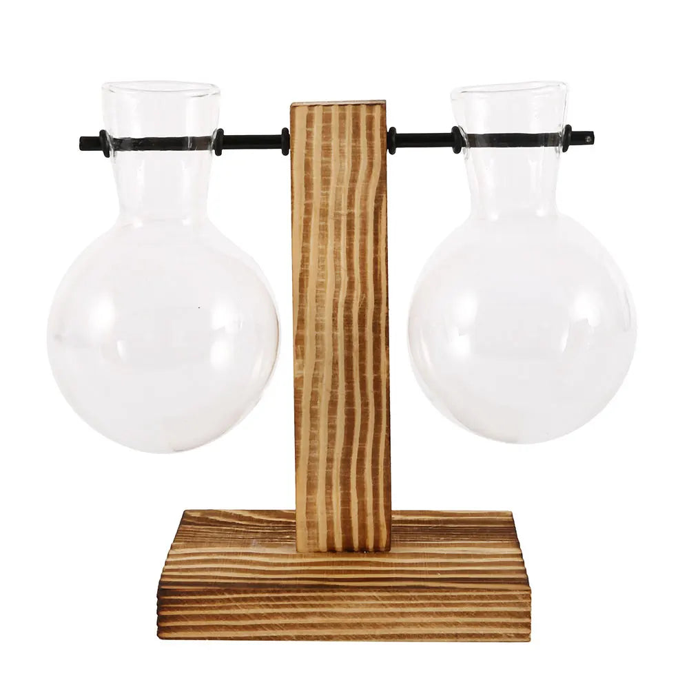 Glass Bulb Vase with Wooden Stand | Vintage Terrarium Planter