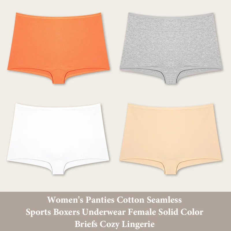 Women's Cotton Seamless Underwear — 4-Pack High-Rise Boyshort Briefs