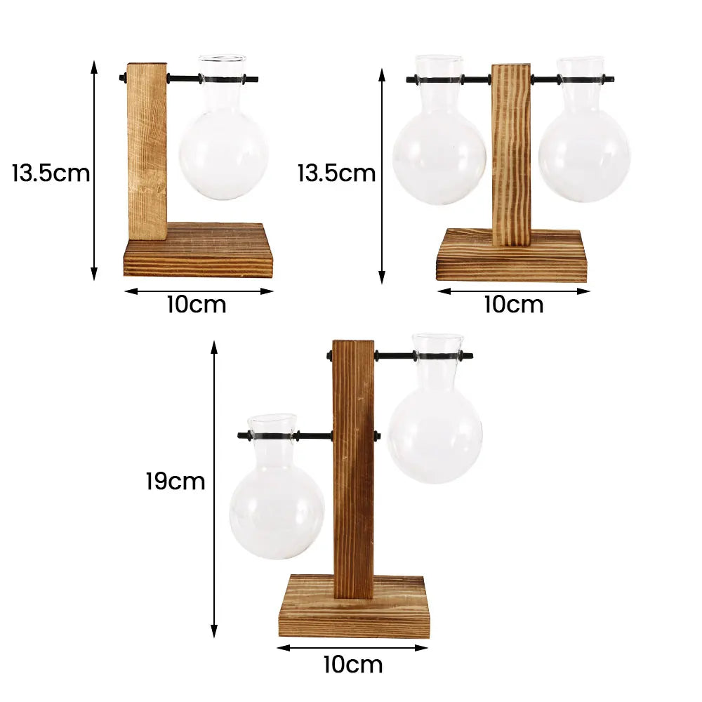 Glass Bulb Vase with Wooden Stand | Vintage Terrarium Planter