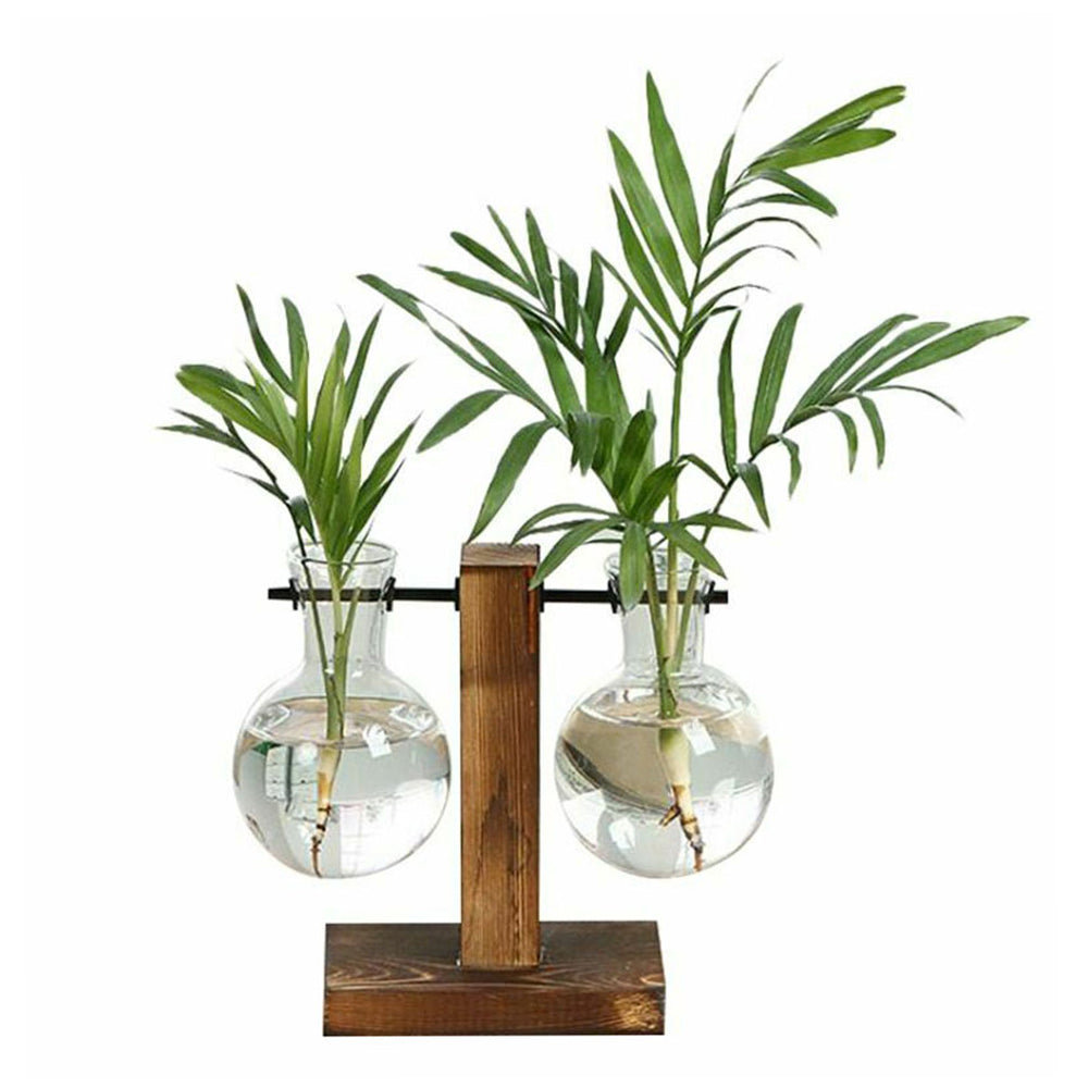 Glass Bulb Vase with Wooden Stand | Vintage Terrarium Planter