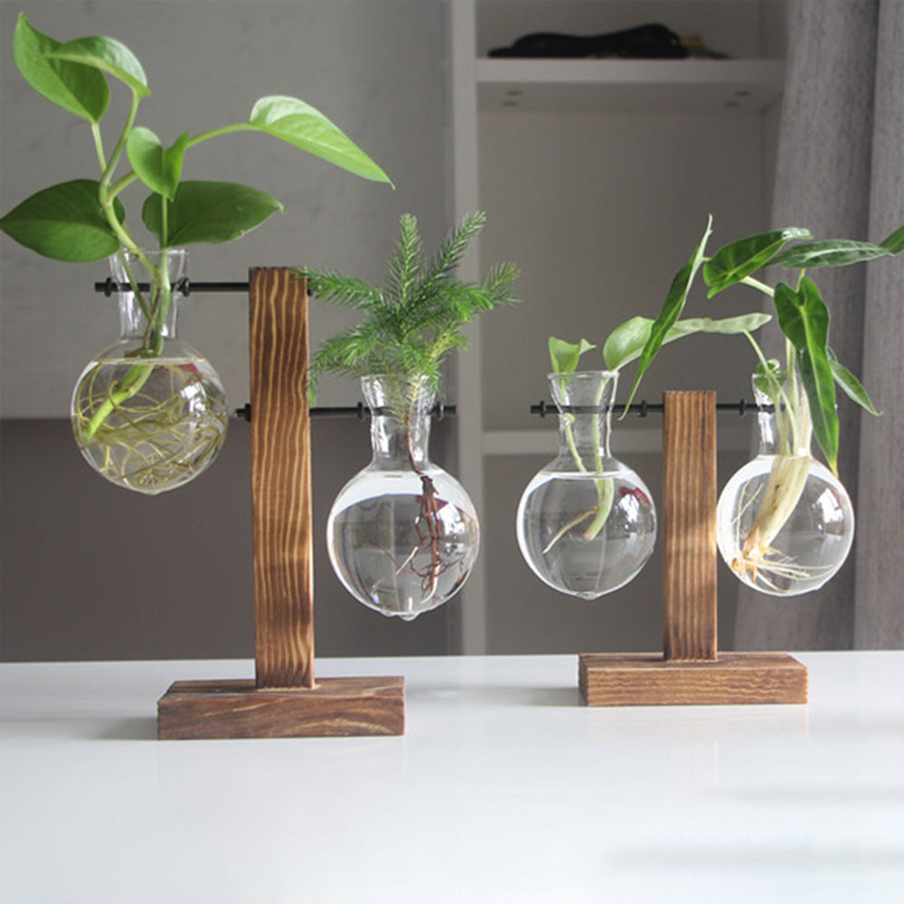 Glass Bulb Vase with Wooden Stand | Vintage Terrarium Planter