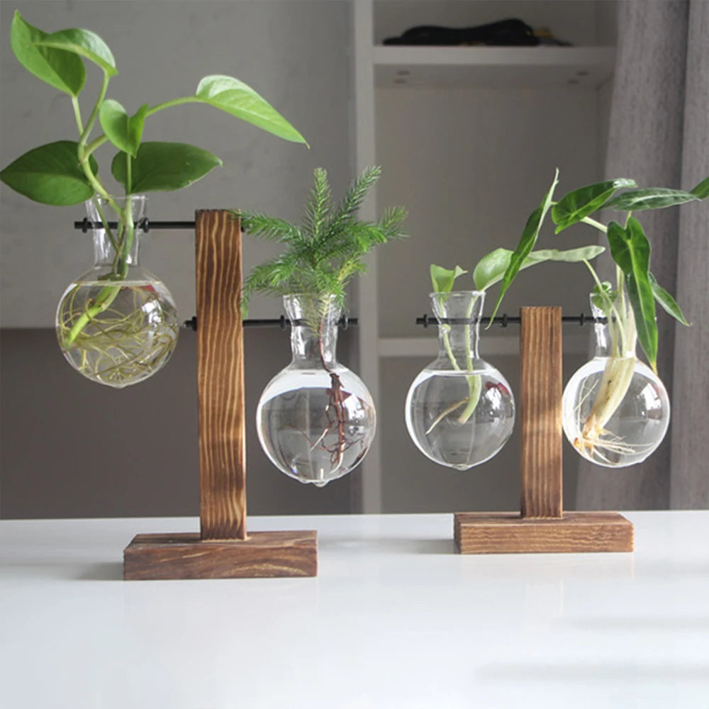 Glass Bulb Vase with Wooden Stand | Vintage Terrarium Planter